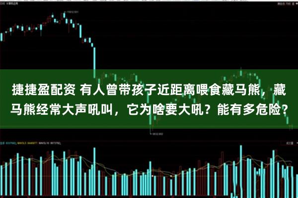 捷捷盈配资 有人曾带孩子近距离喂食藏马熊，藏马熊经常大声吼叫，它为啥要大吼？能有多危险？