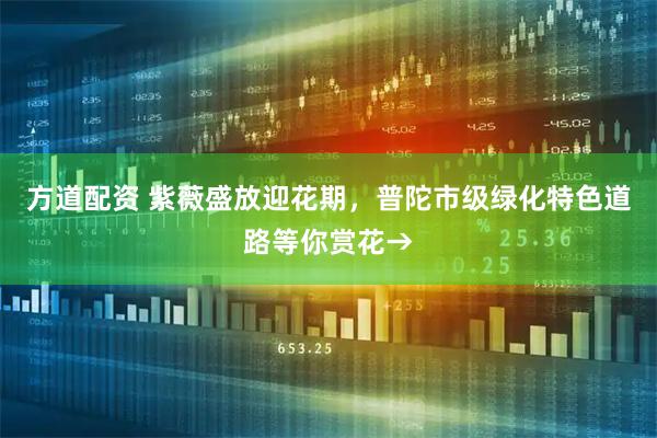 方道配资 紫薇盛放迎花期，普陀市级绿化特色道路等你赏花→