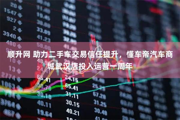 顺升网 助力二手车交易信任提升，懂车帝汽车商城武汉店投入运营一周年